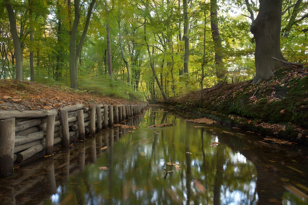 Ruhiger Waldbach unter grün-gelbem Laub