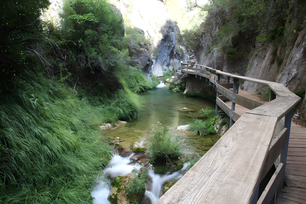 Holzsteg und Bach im Grün der Klamm