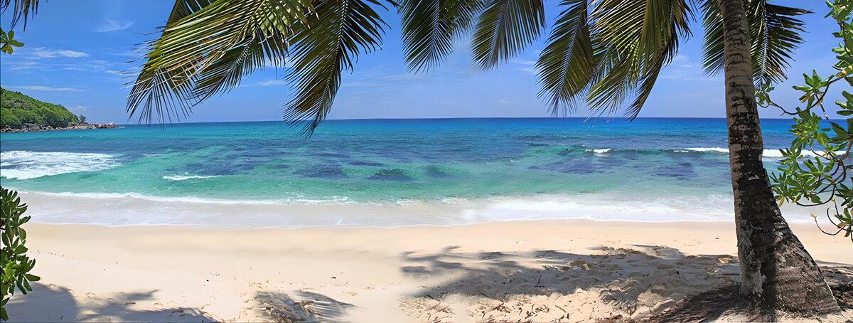 Palmenstrand am leuchtend blauen Meer