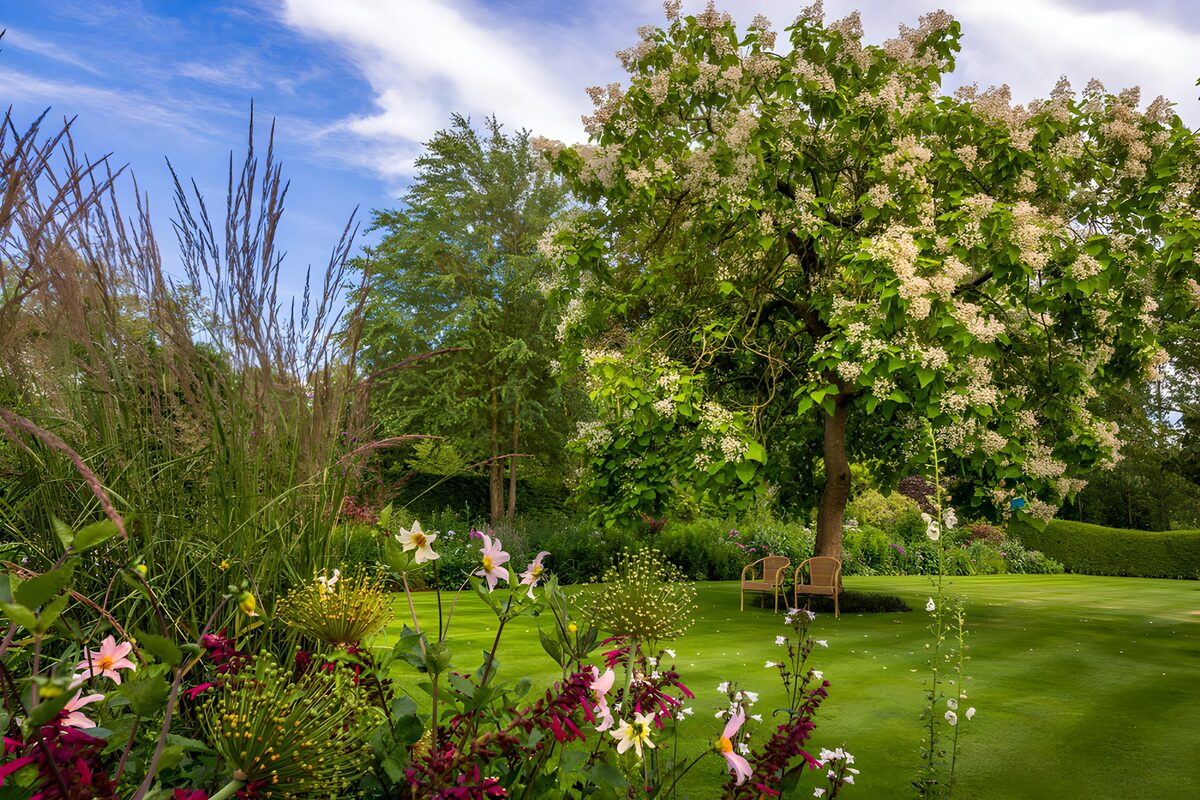 Sonniger Garten mit weiß blühendem Baum