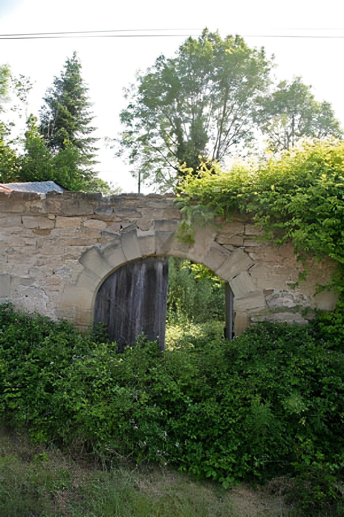 Altes Steintor im dichten Grün