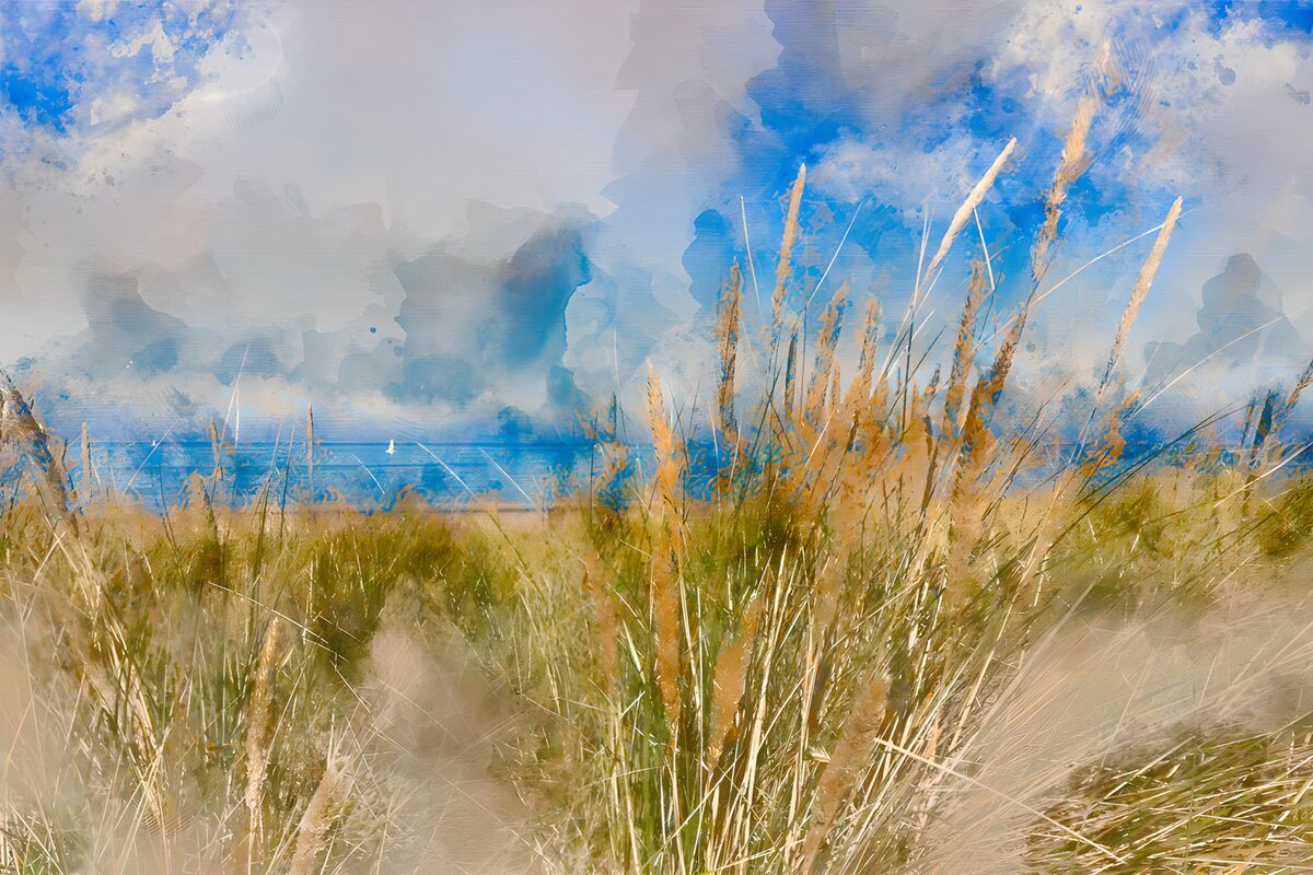 Dünengras und Meer im Sommerlicht
