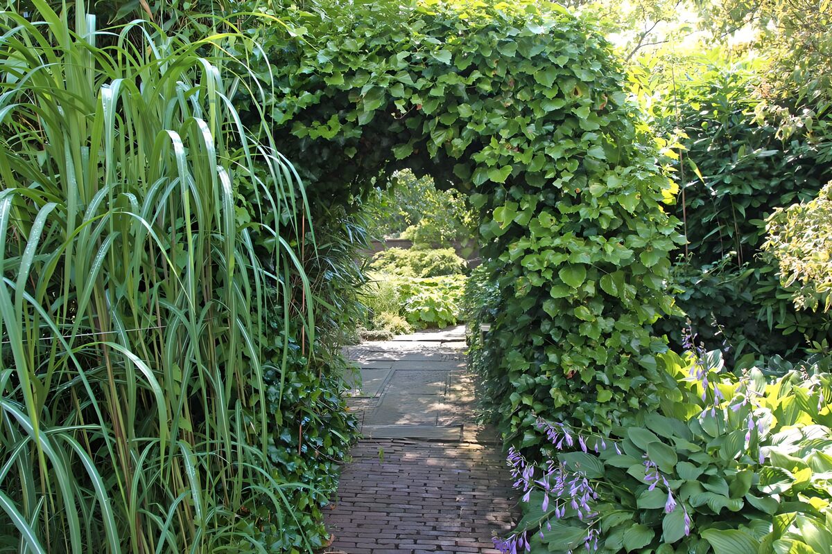 Gartenweg unterm schattigen Blätterbogen
