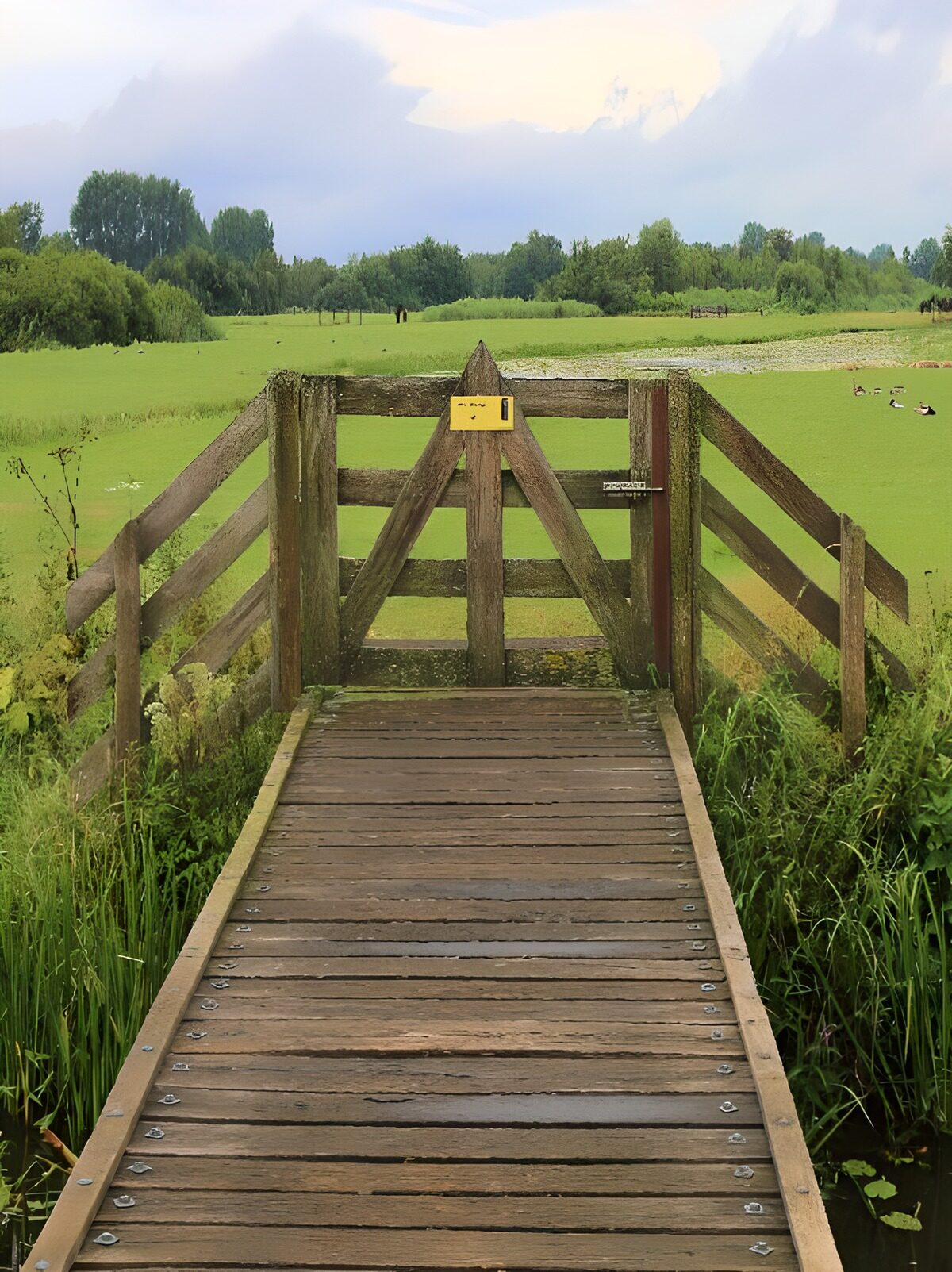 Holzsteg mit Tor am stillen Teich